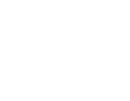 LLM Logo weiss