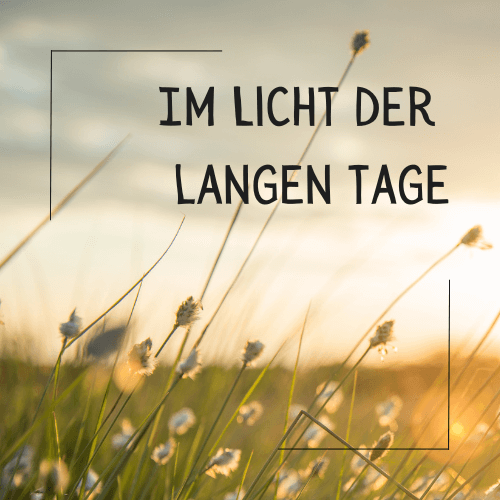 Sonnenuntergang hinter Grashalmen - Im Licht der langen Tage