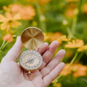 Kompass in Hand für Journaling-Fragen